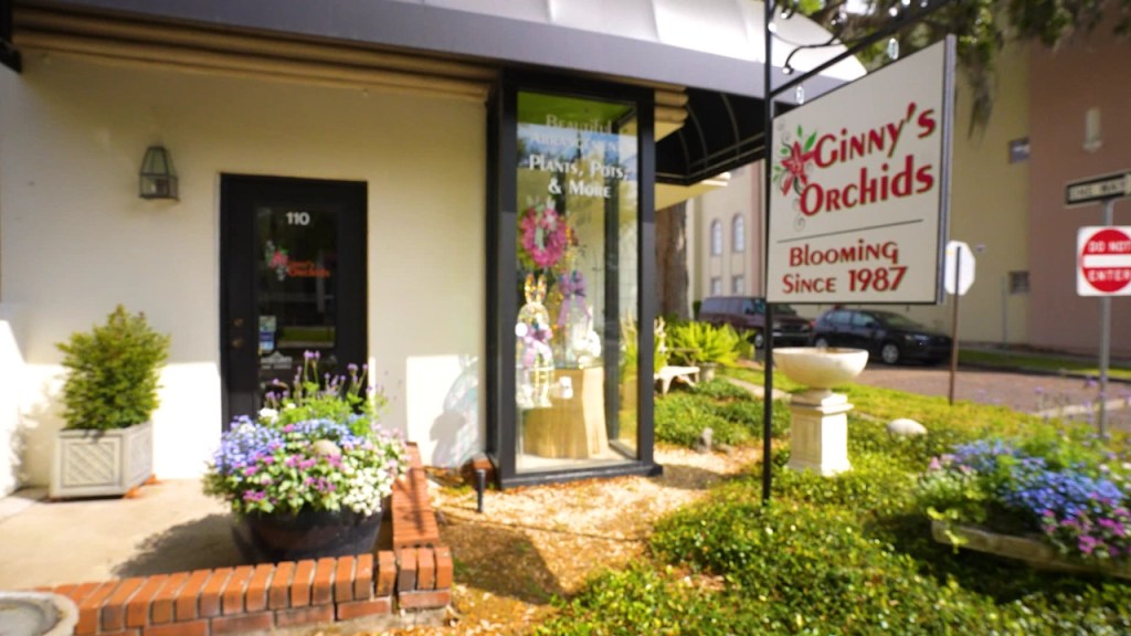 Ginnys Orchids Winter Garden Florida