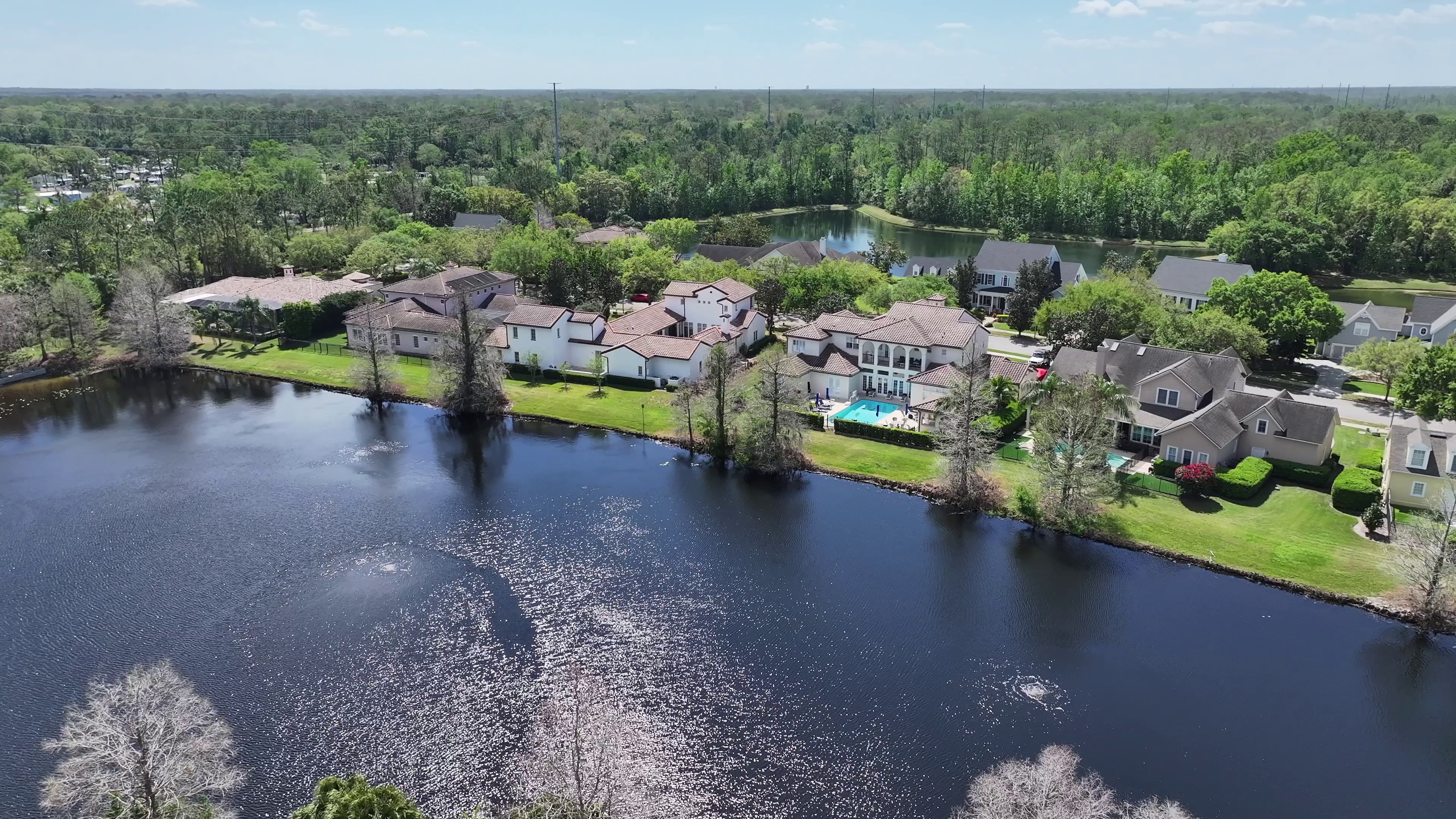Celebration Florida lakefront homes and pond